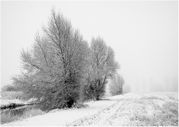 Brian Marcer - Fog over the Snowfields